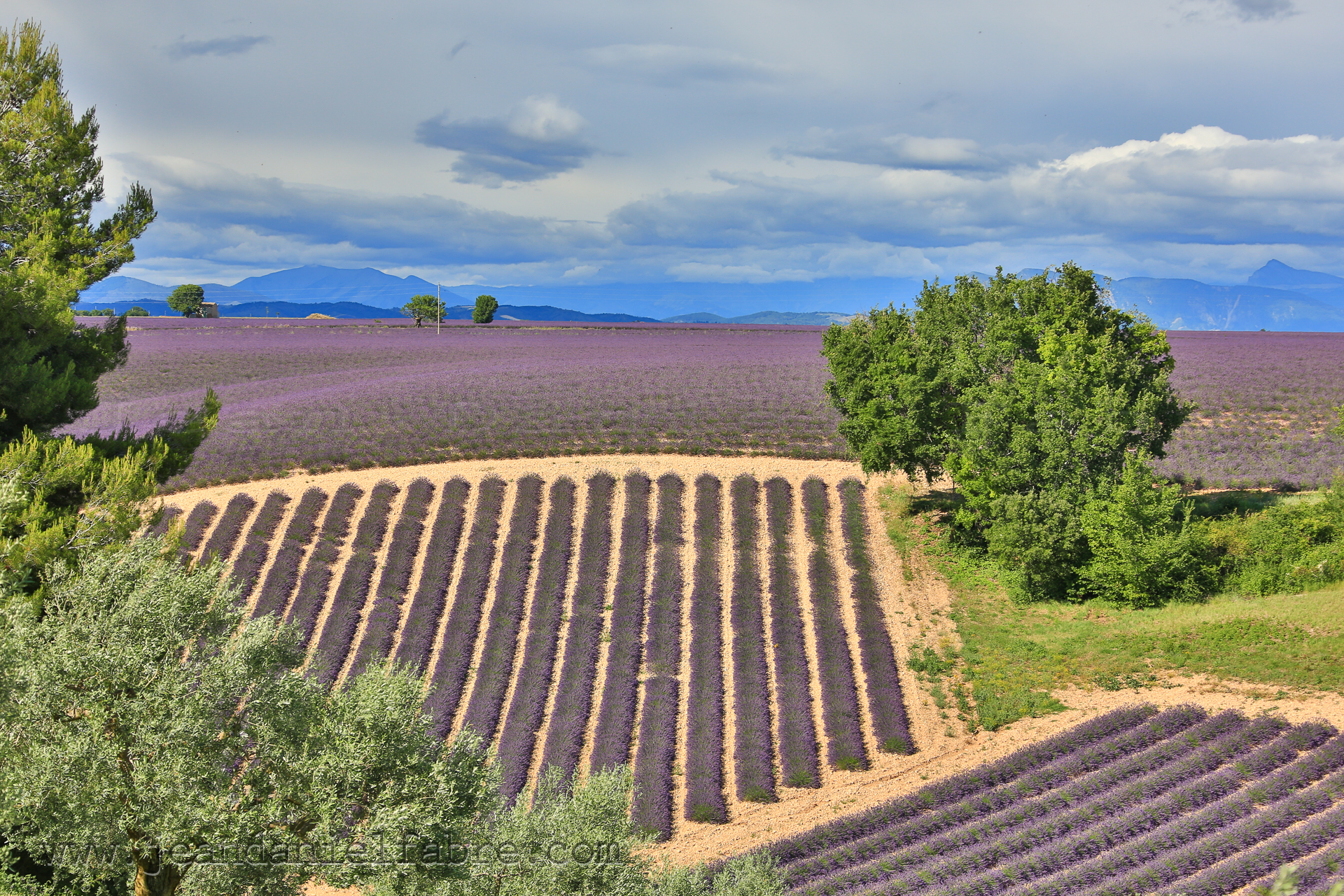 2014 07 09 5D3 9943 web jeandanielfabre