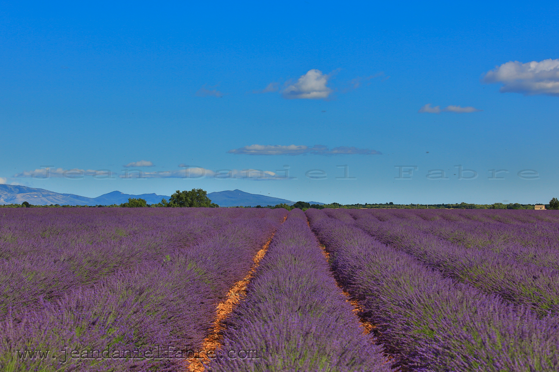 2014 07 09 5D3 9999 web jeandanielfabre